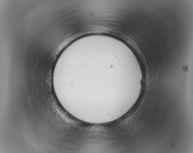 X0000111950842200908241202