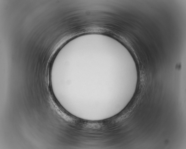 X0000111950843200908241202