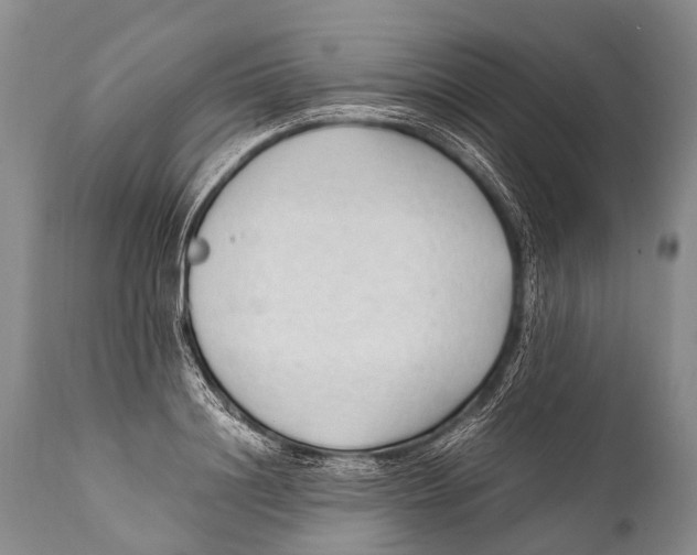 X0000111950844200908241202