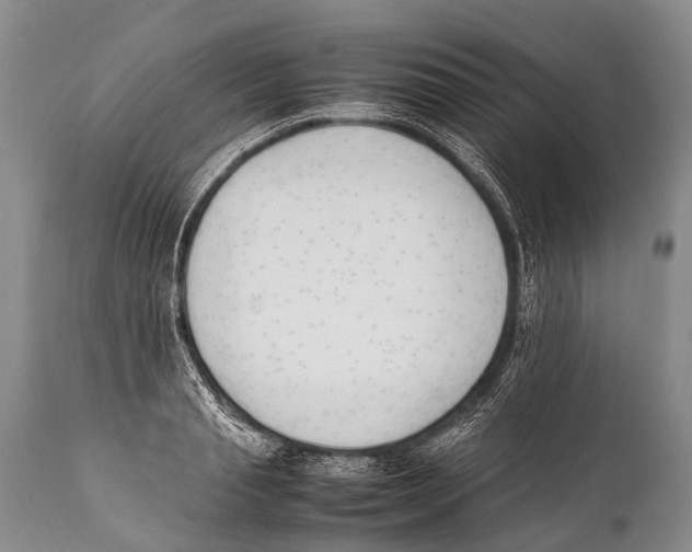 X0000111950845200908241202