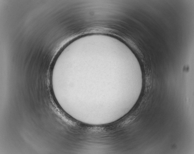 X0000111950846200908241202