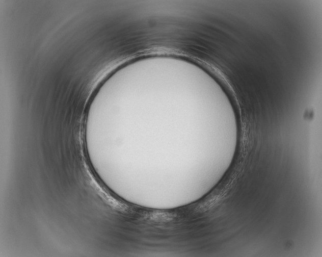 X0000111950847200908241202