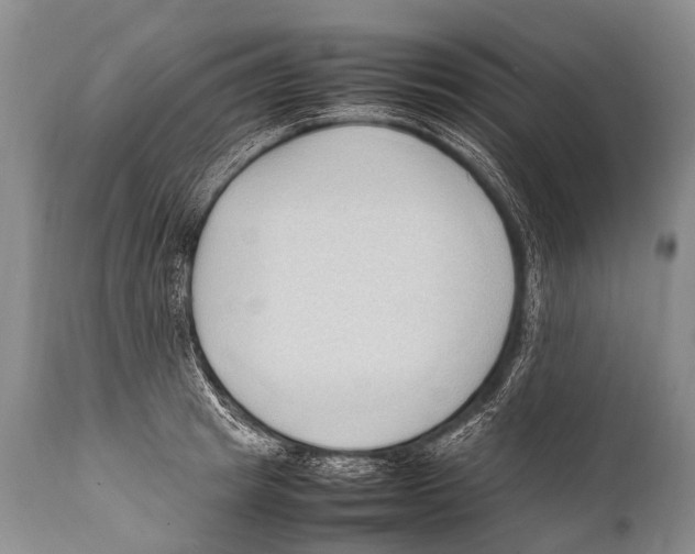 X0000111950849200908241202
