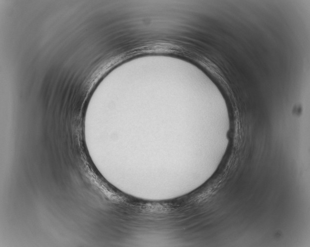 X0000111950850200908241202