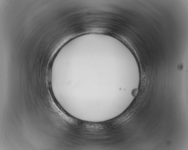 X0000111950851200908241202