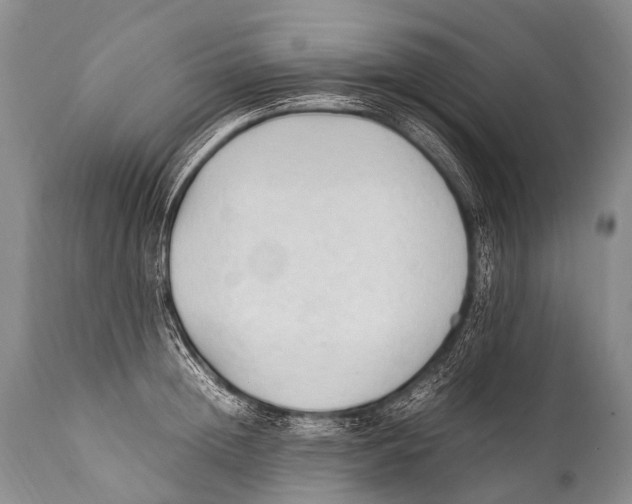 X0000111950852200908241202
