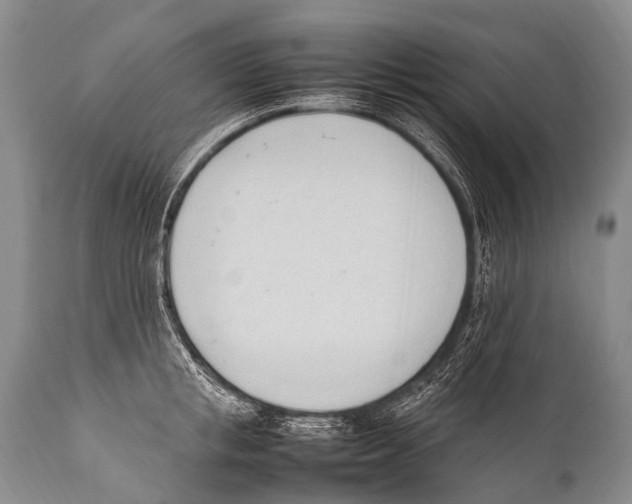 X0000111950853200908241202