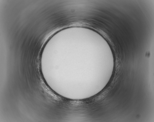 X0000111950854200908241203