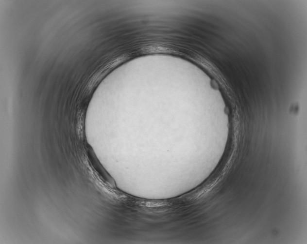 X0000111950857200908241203