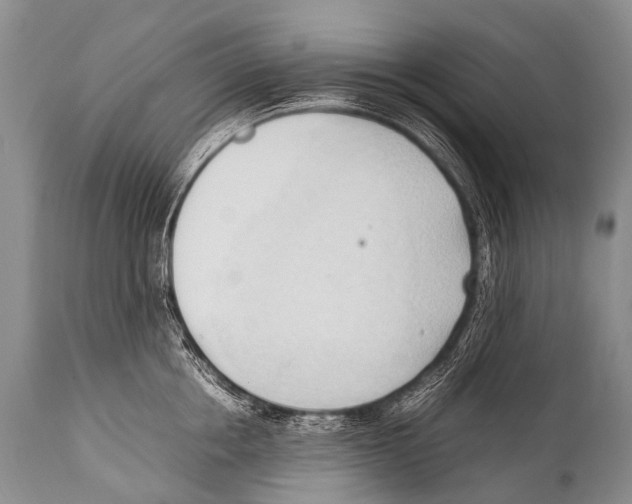X0000111950858200908241203