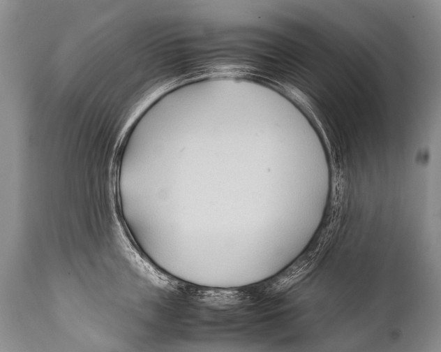 X0000111950859200908241203