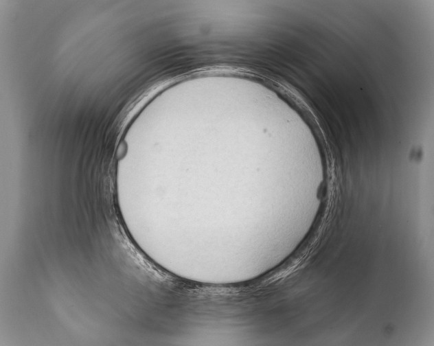 X0000111950860200908241203