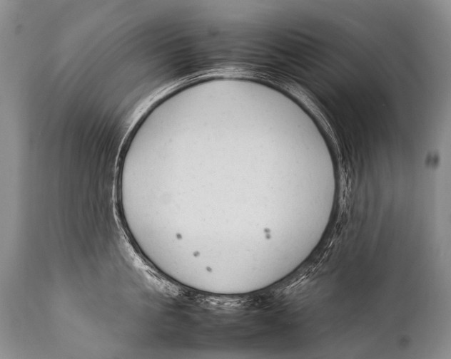 X0000111950861200908241203