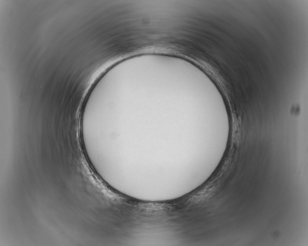 X0000111950862200908241203