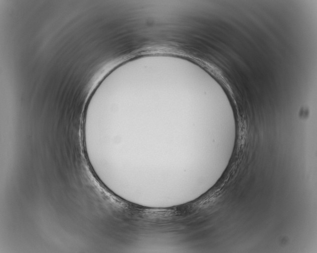 X0000111950863200908241203