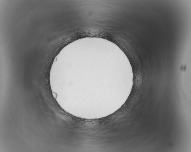 X0000111950865200908241202