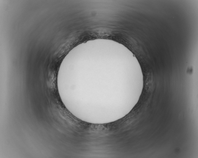 X0000111950866200908241202