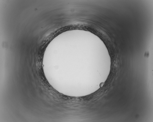 X0000111950869200908241202