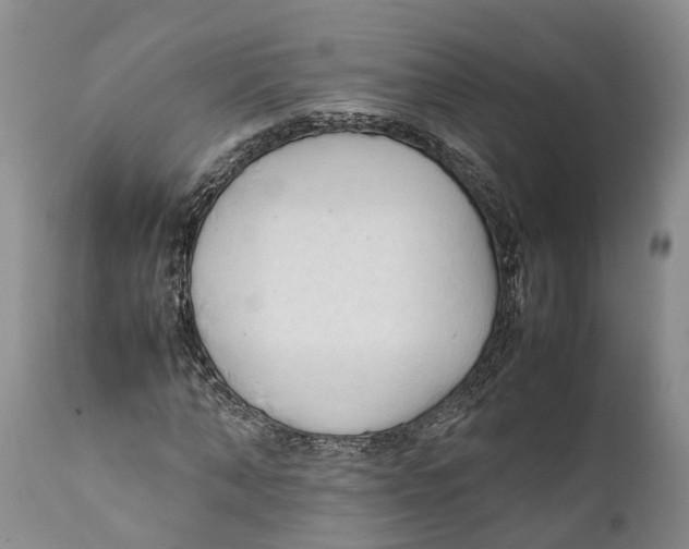 X0000111950870200908241202