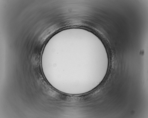 X0000111950873200908241202