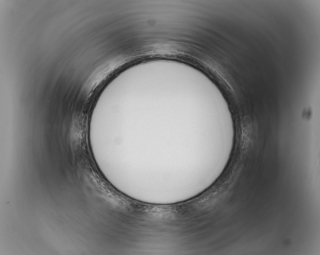 X0000111950874200908241202