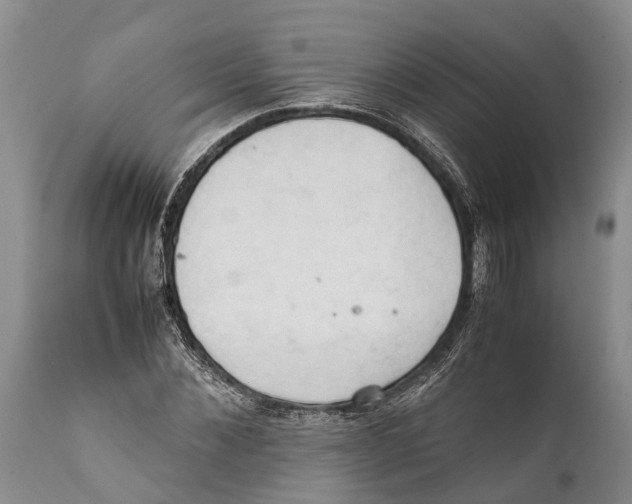 X0000111950876200908241202