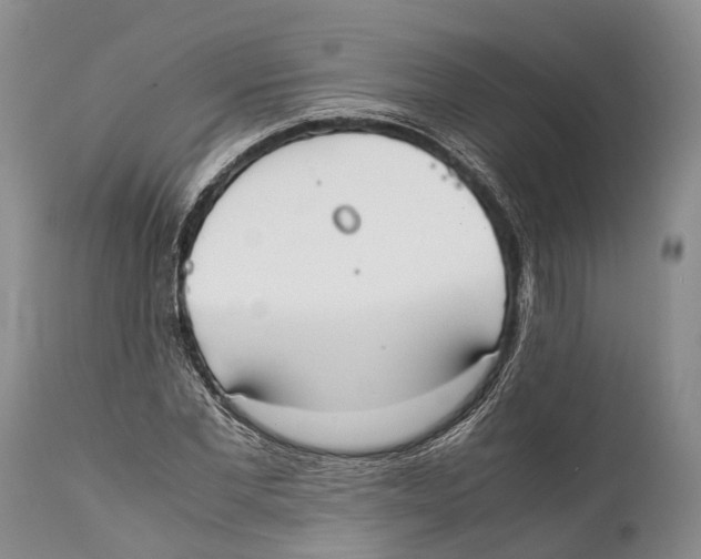 X0000111950877200908241202