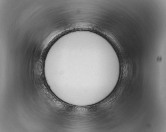 X0000111950878200908241202