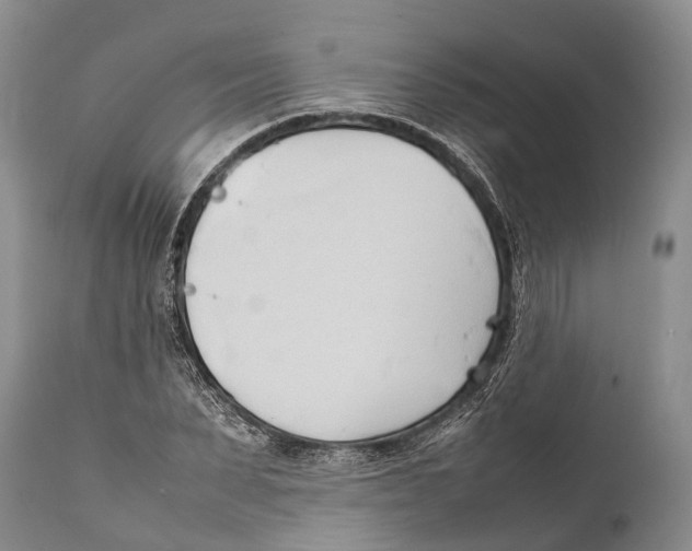 X0000111950879200908241202