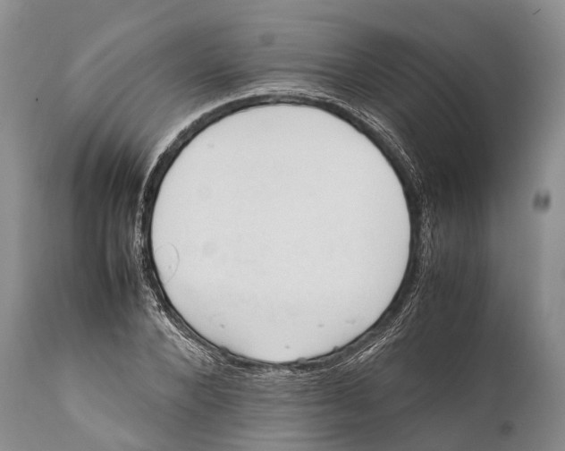 X0000111950880200908241202
