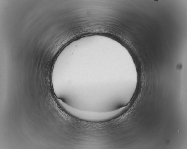 X0000111950881200908241202