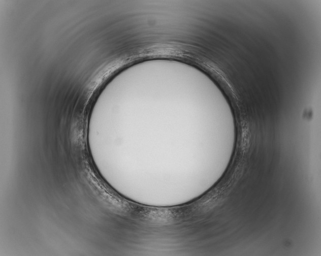 X0000111950882200908241202