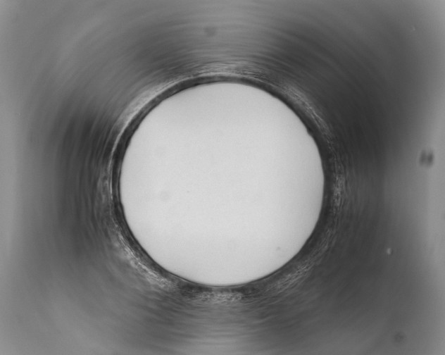 X0000111950884200908241201