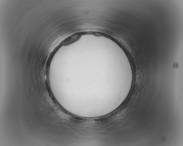 X0000111950885200908241201