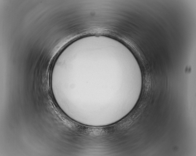 X0000111950886200908241201