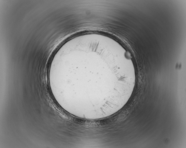 X0000111950887200908241201