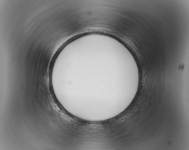 X0000111950888200908241201
