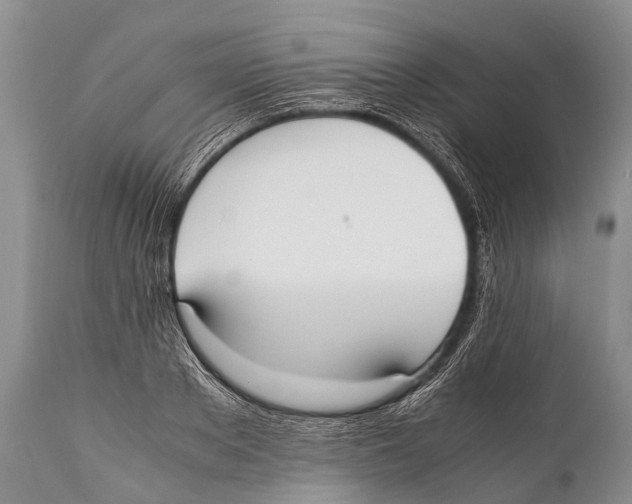 X0000111950889200908241201