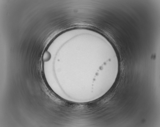X0000111950891200908241201