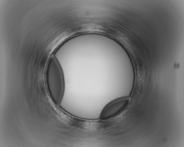 X0000111950893200908241201