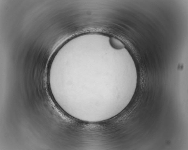 X0000111950894200908241201