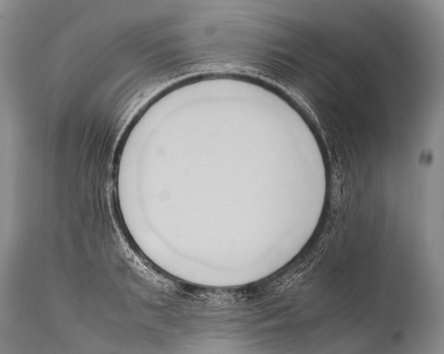 X0000111950895200908241201