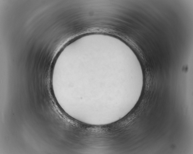 X0000111950896200908241201