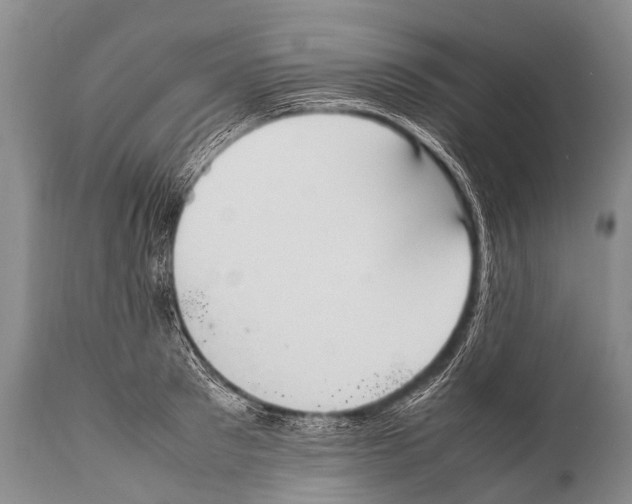 X0000111950897200908241201