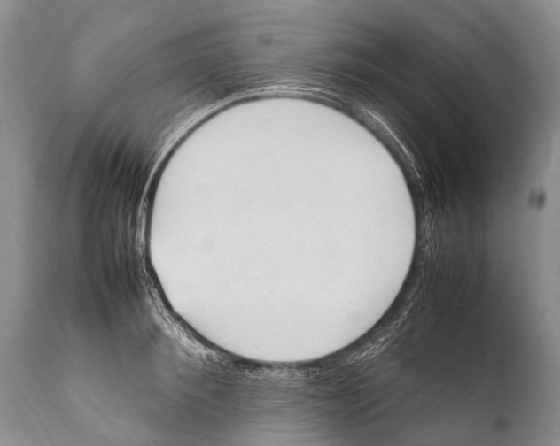 X0000111950900200908241201