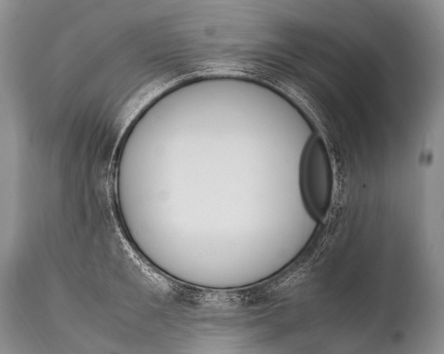 X0000111950901200908241201