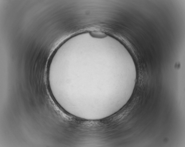 X0000111950902200908241201