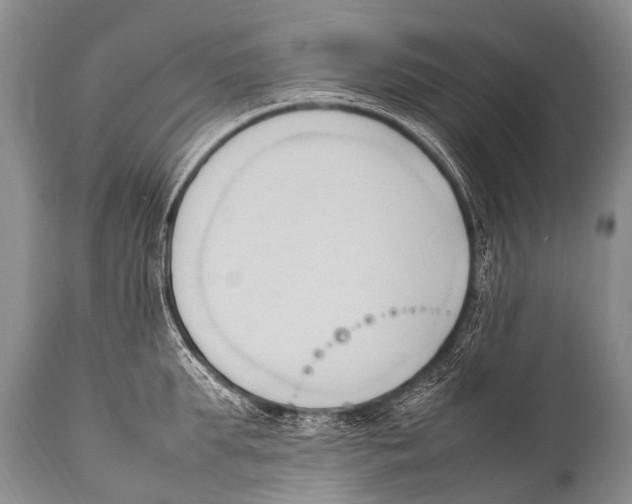 X0000111950903200908241201