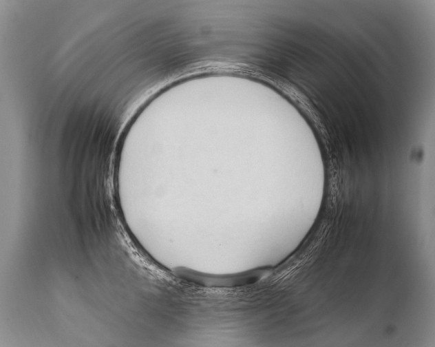 X0000111950904200908241201