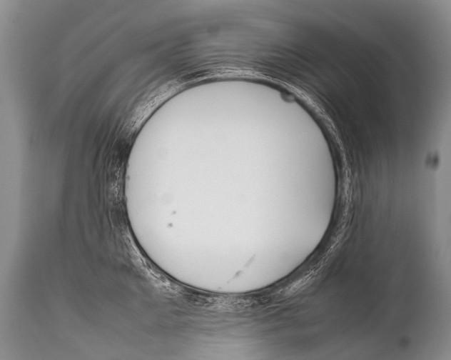 X0000111950905200908241201